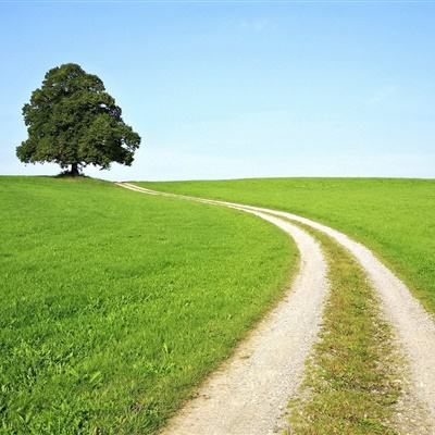 梭哈游戏下载app下载